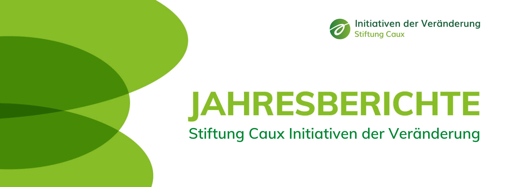 Annual Report banner DE