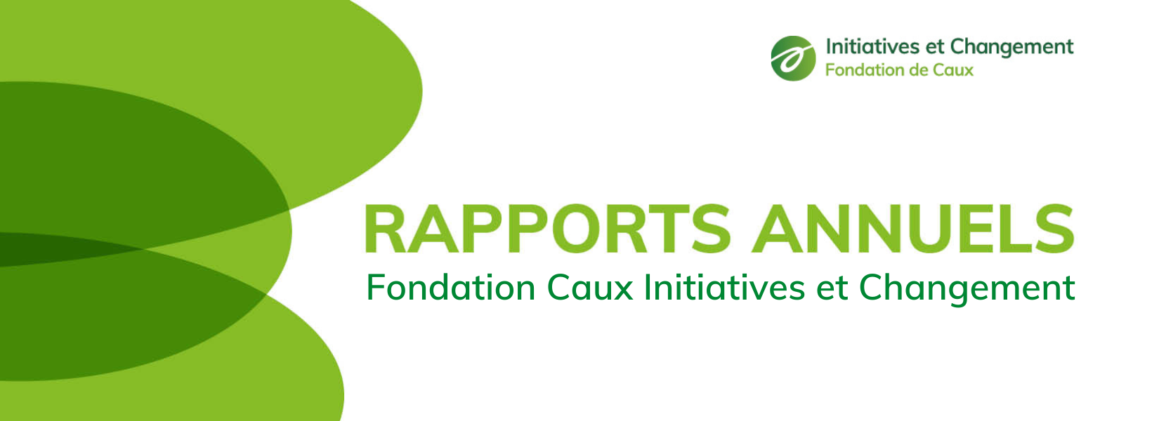 Annual Report banner FR