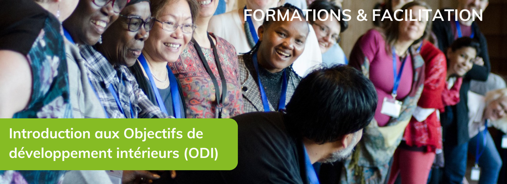 Intro IDGs Training & Facilitation FR