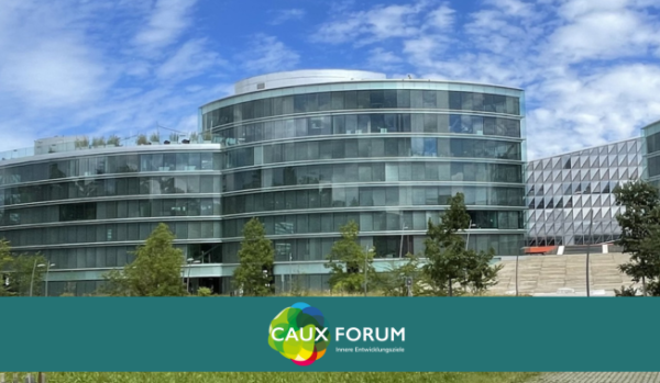 CIDG Opening blue DE