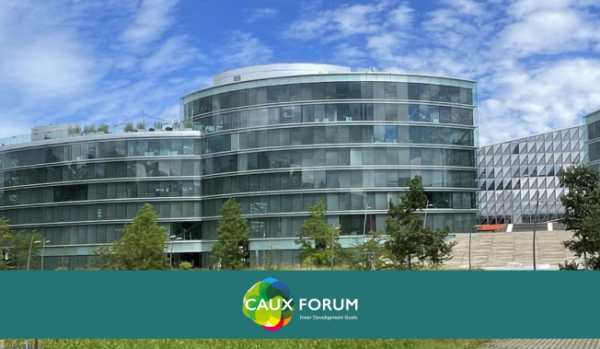 CIDG Opening blue EN