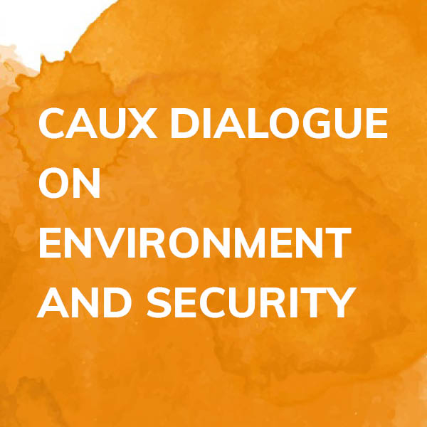 Land and Security in Sub-Saharan Africa: assessing the risks and seeking a response CDES teaser theme square